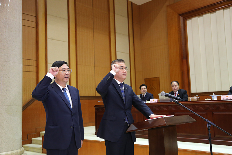十二届人民代表大会农业与农村委员会副主任委员陈延国向宪法庄严宣誓