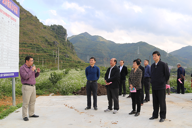 德保县人口数_德保县地图