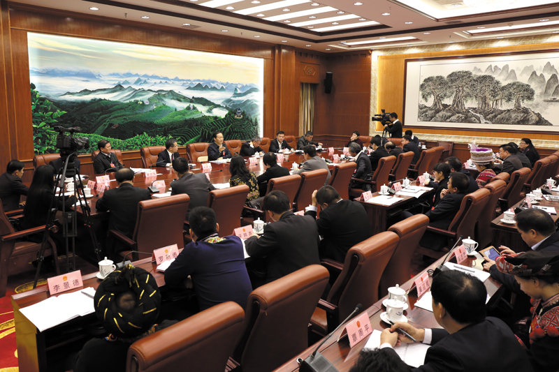 各代表团审议政府工作报告