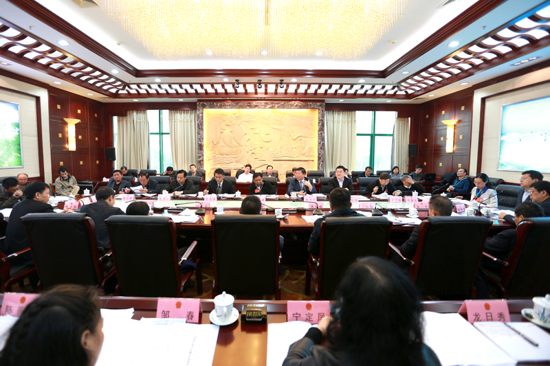 各代表团审议政府工作报告