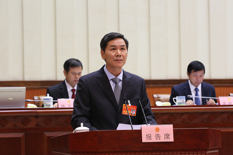 甘承会作关于个别代表的代表资格审查情况报告