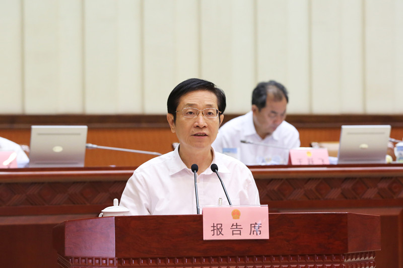 高雄作关于个别代表的代表资格审查情况报告