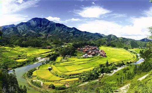 广西全国人大代表积极准备议案和建议　传递民生民情
