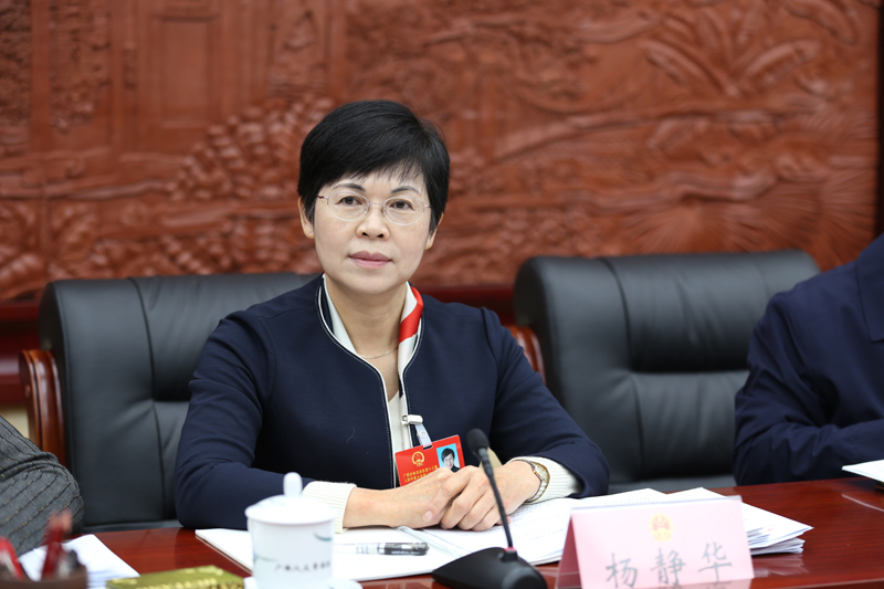 杨静华参加钦州市代表团审议政府工作报告