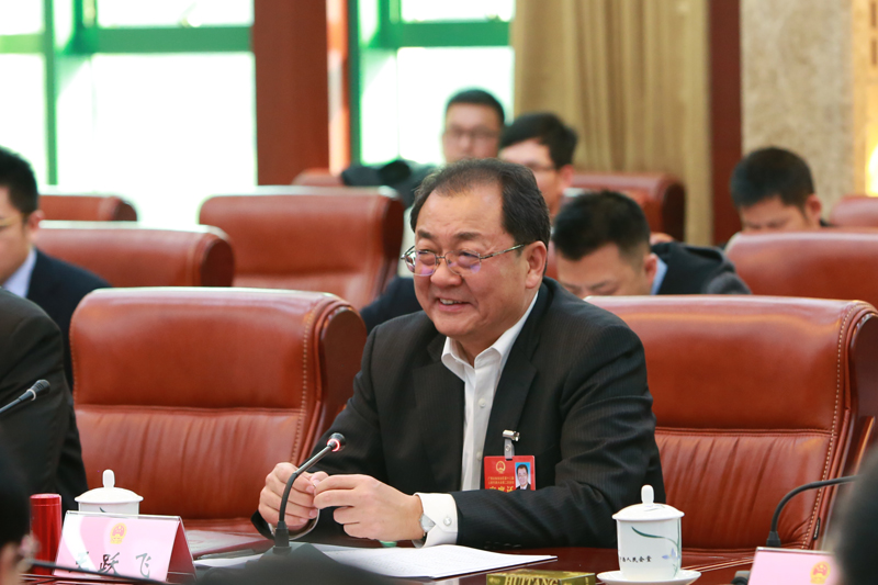 王跃飞参加柳州市代表团审议政府工作报告