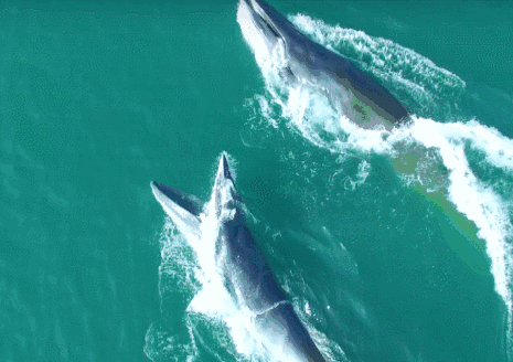 3d77cb96e08a25b813d10ae099732658.gif