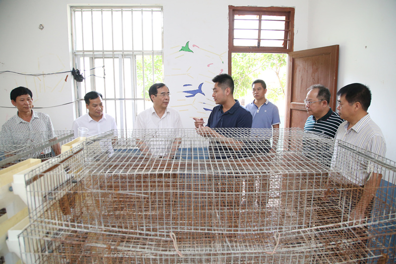 李国坚率队赴德保县开展脱贫攻坚工作调研