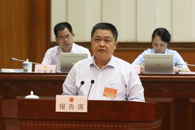 何小聪作关于2015年度自治区本级预算执行和其他财政收支的审计工作报告