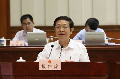 高雄作关于个别代表的代表资格审查情况报告