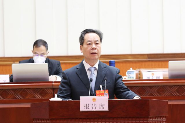 刘有明作关于自治区第十四届人民代表大会代表的代表资格审查报告