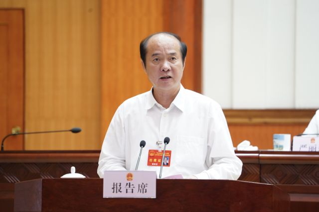 黄伟京作关于个别代表的代表资格的报告