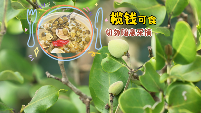 ����Ƶ������ɽ������˴�ʵ�������ֽС��Ǯ���Ĺ�ʵ��Թ������Բ�ժ�����������Σ�