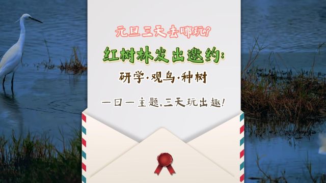 ����Ƶ������ɽ������˴�ʵ����Ԫ������ȥ���棿�����ַ�����Լ������ѧ����������