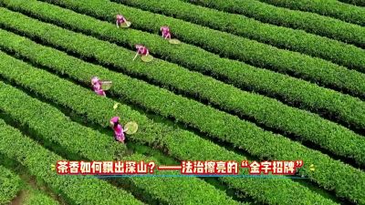 ����Ƶ���˴���»㣺���� ���������ò�