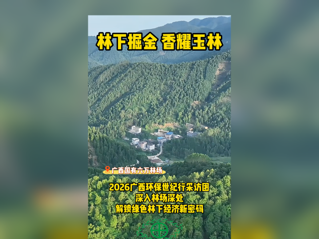 ����Ƶ��2026�������������вɷ��������ֳ�� �������Ϲ��㶼����ɫ���¾���������