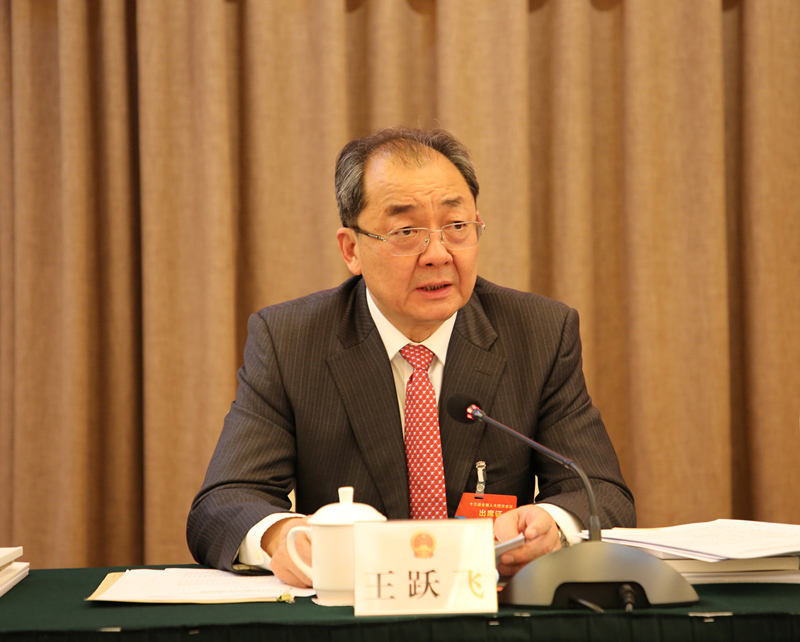 王跃飞传达大会代表团召集人会议精神.覃宇扬/摄