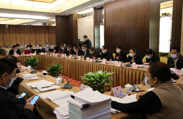广西代表团分组审议全国人大常委会工作报告