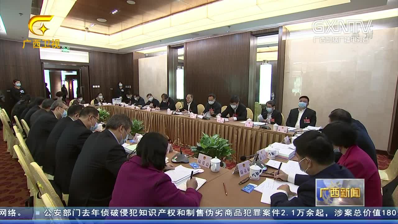【视频】广西代表团分组审议全国人大常委会工作报告