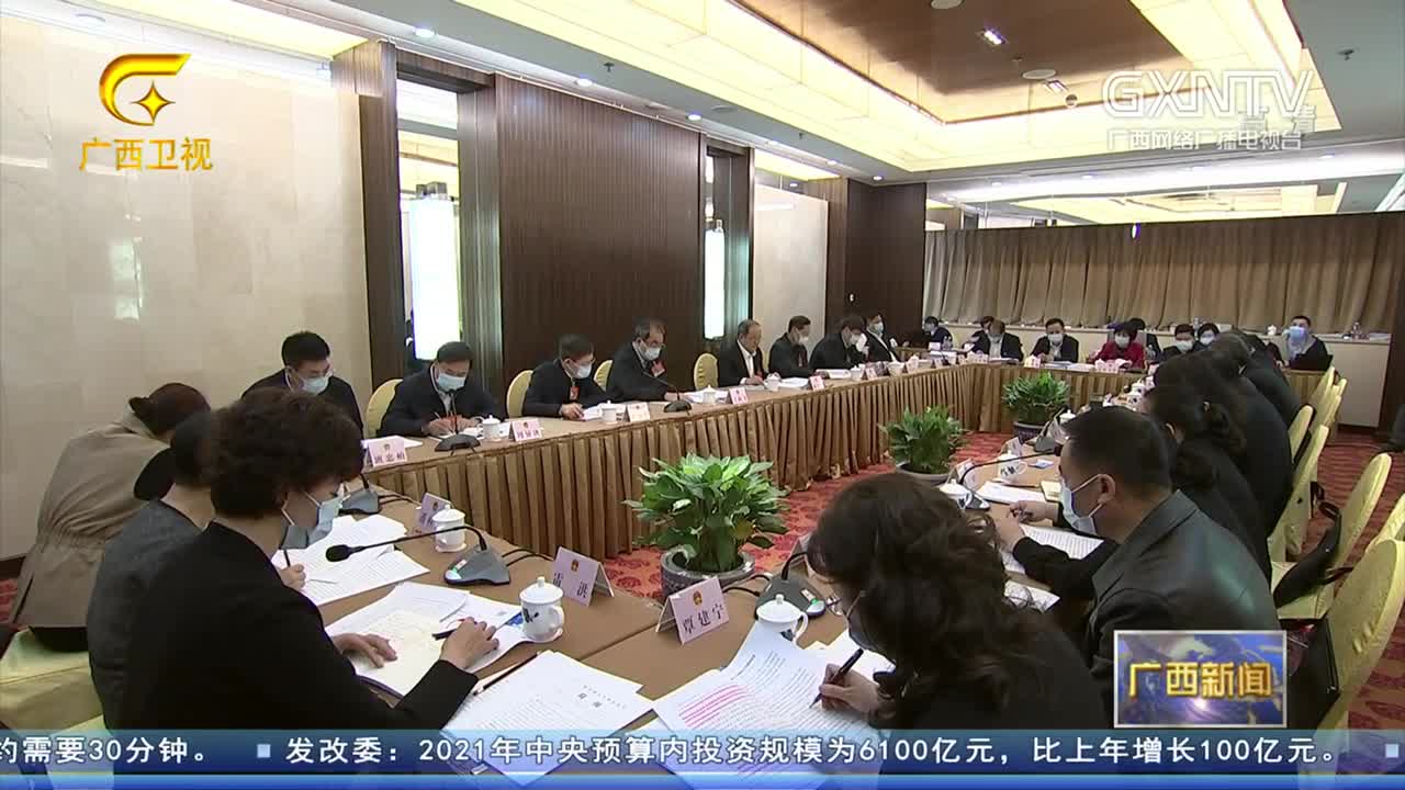 【视频】广西代表团分组审议两高工作报告等 