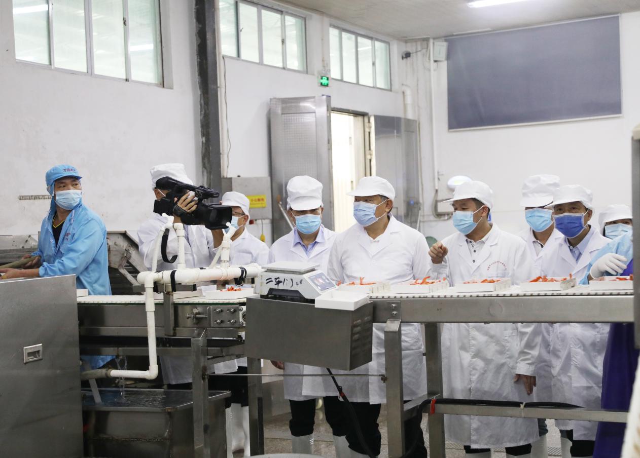 张秀隆率队赴崇左北海开展我区推进农产品