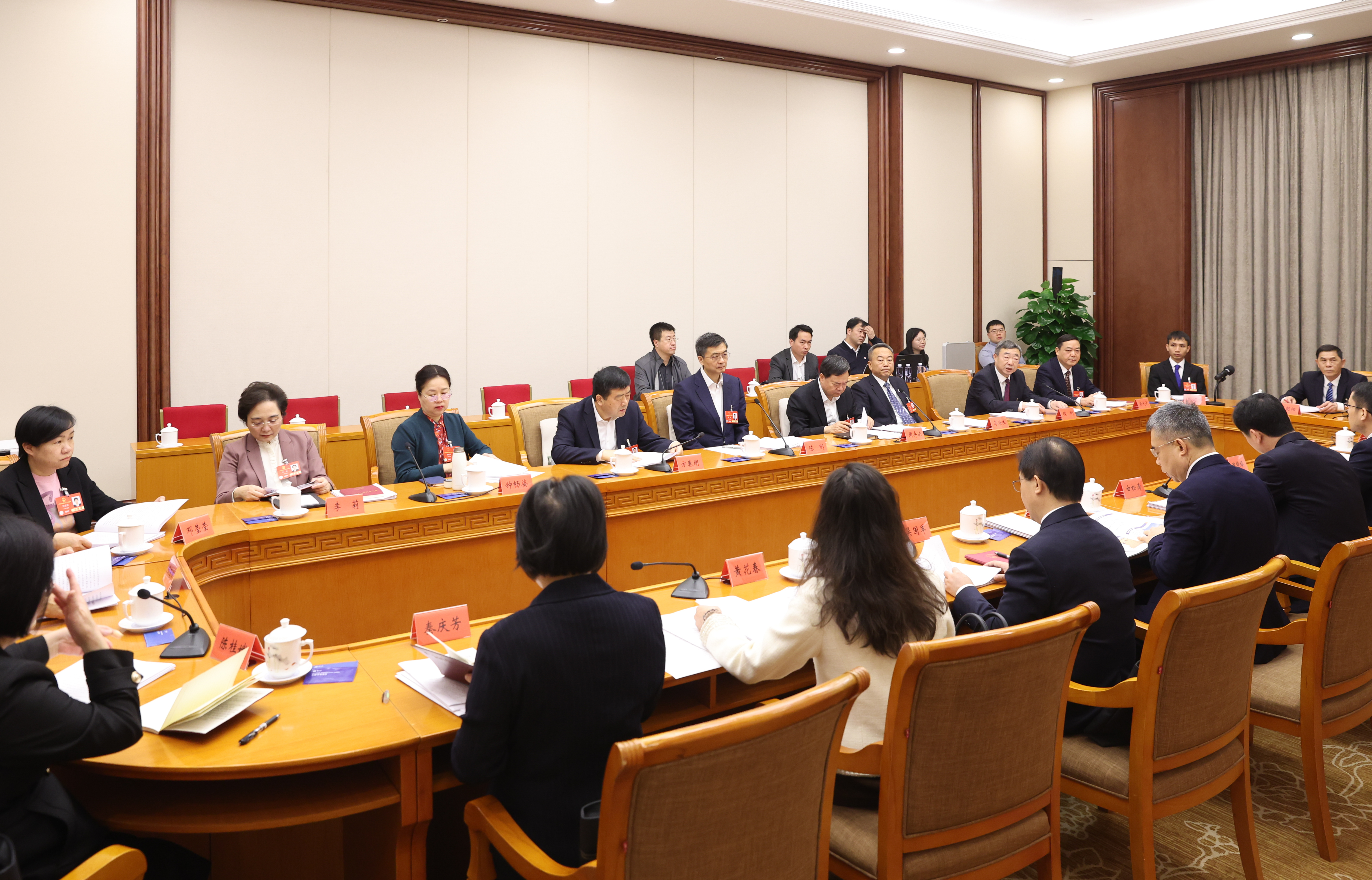 广西代表团分组审议各项决议草案