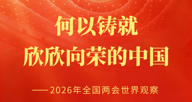 ���������������ٵ��й�����2026��ȫ����������۲�