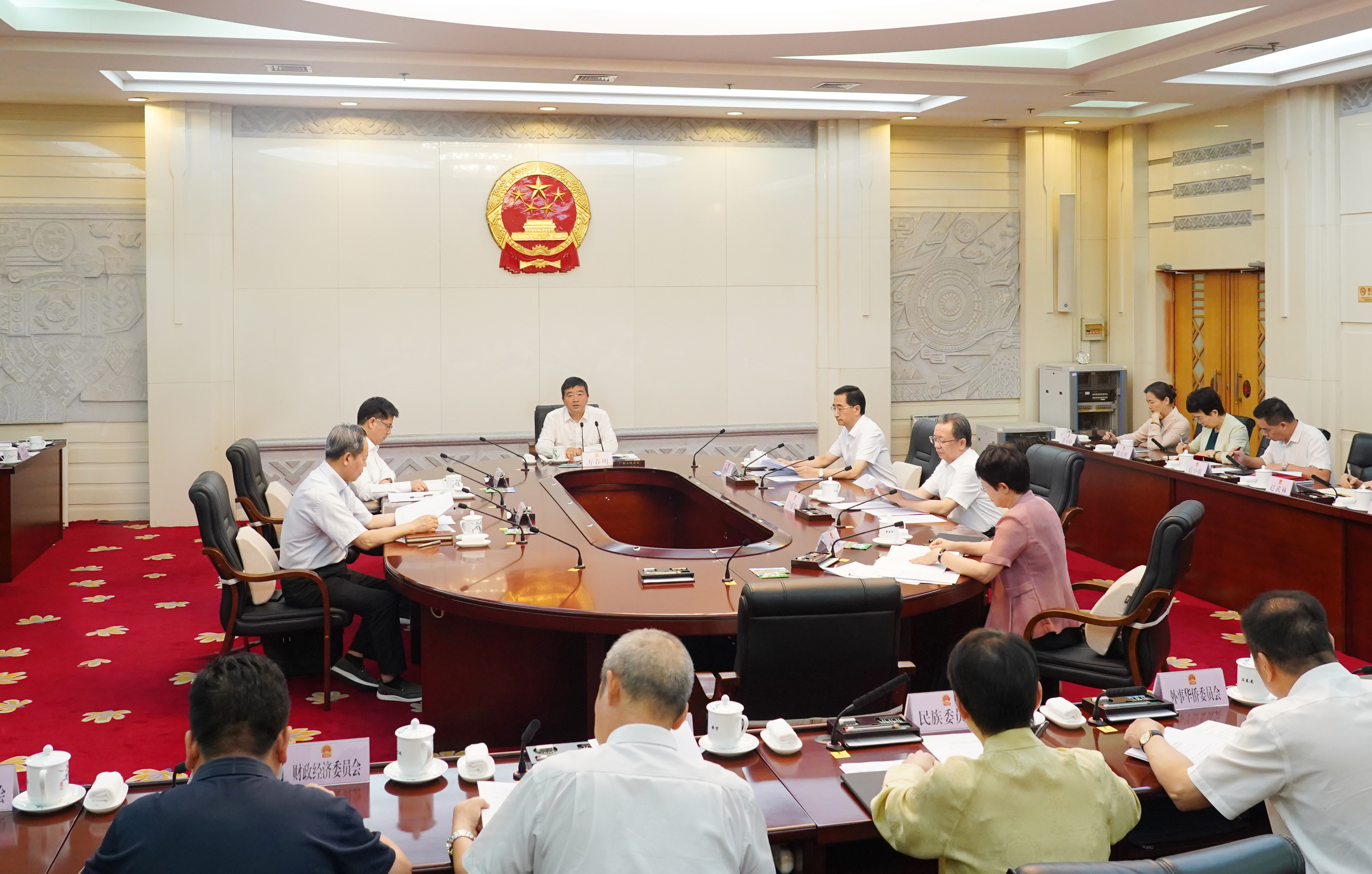 自治区人大常委会党组会议召开