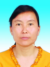 莫小金