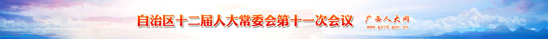 ������ʮ�����˴�ί��ʮһ�λ���